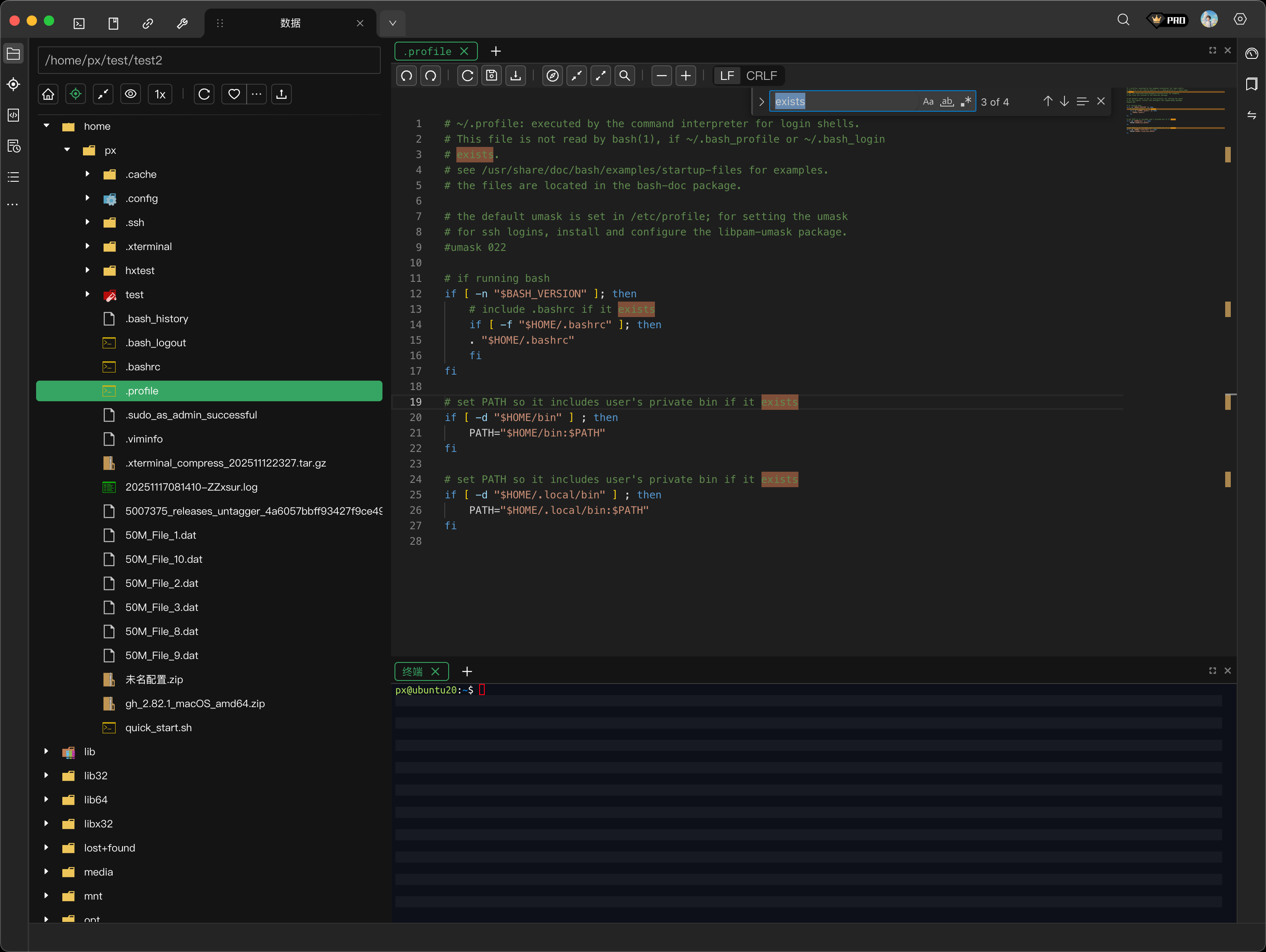 远程文件编辑器